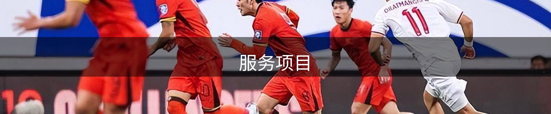 服务项目